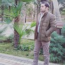 ���� ������, �����-���������, 41 ��� - ��������� 14 ���� 2020 � ������ ���� ����������