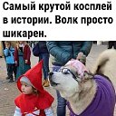  ,  -  23  2020    