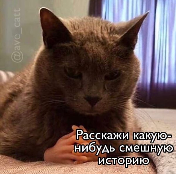      - 2