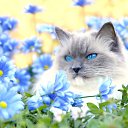 ���� ��������, ������� - ��������� 14 ������ 2020 � ������ ���� ����������