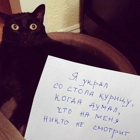 :   ?