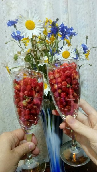 https://fotostrana.ru/away?to=/sl/2ac2