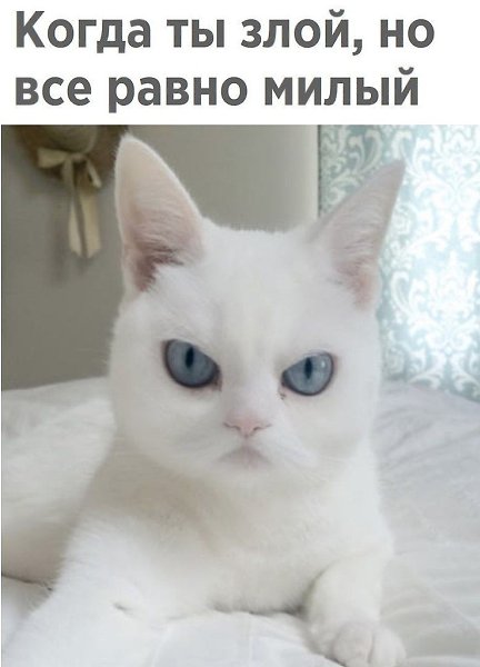 ������� - 16 ������� 2020 � 18:48