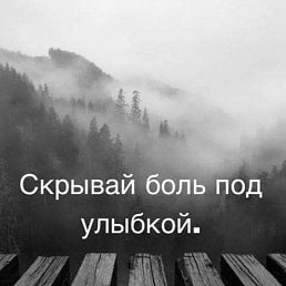  , , 53  -  6  2020