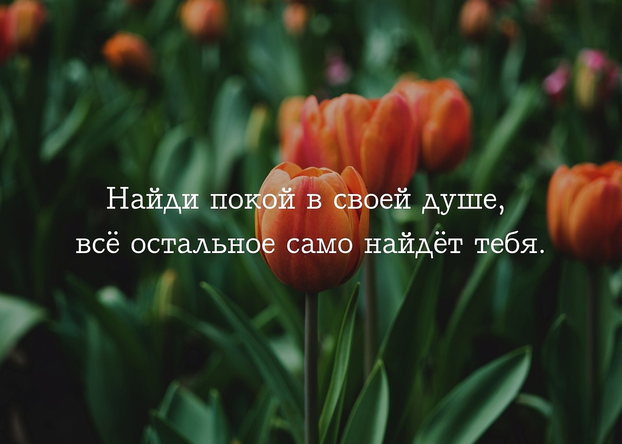 BEST | , ,  - 27  2020  20:40