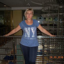 ���� ����, �������, 56 ��� - ��������� 31 ��� 2020