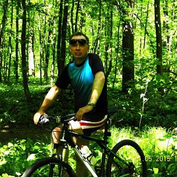 ��������, �������, 68 ���