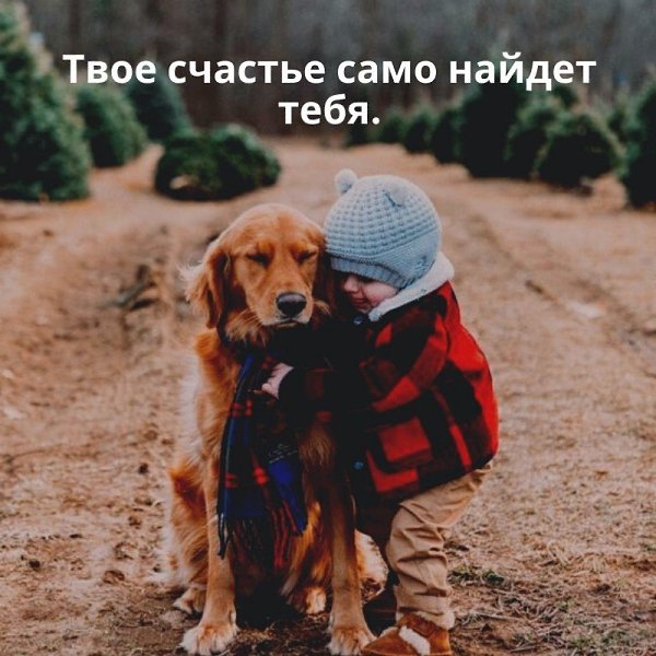   . . . - 7  2020  18:59