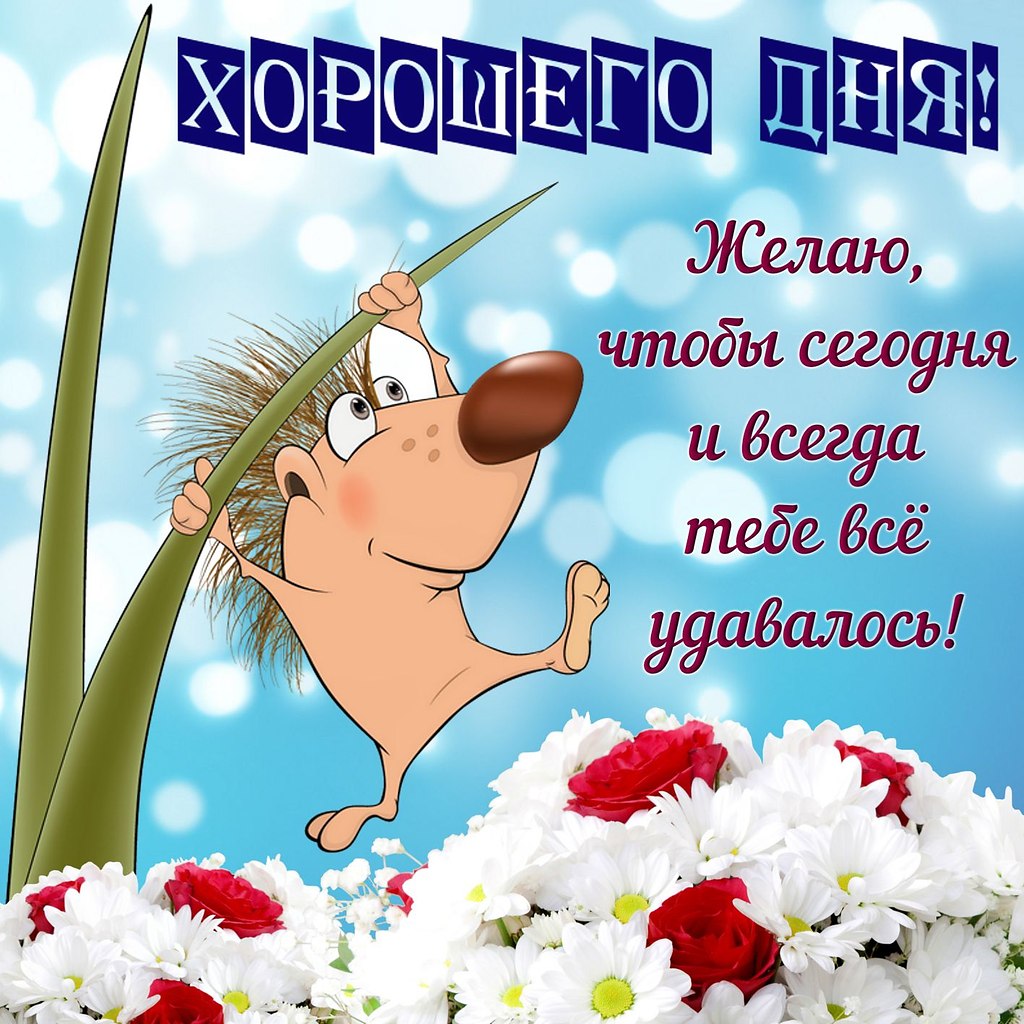   ,    . - 6  2020  14:57