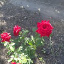 ���� �������, ���������, 69 ��� - ��������� 28 ���� 2020 � ������ ���� ����������