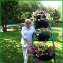 ���� ������� �����, ������, 69 ��� - ��������� 8 ����� 2020 � ������ ���� ������� �����