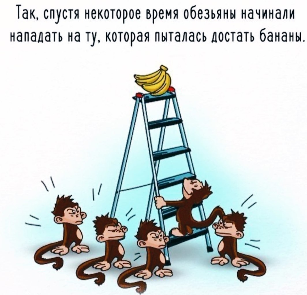   ,    .  ,   , ,  ... - 3