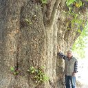 ���� ������� ������������, �����������, 64 ���� - ��������� 21 ����� 2020 � ������ ������� ������ ������������� �������߻