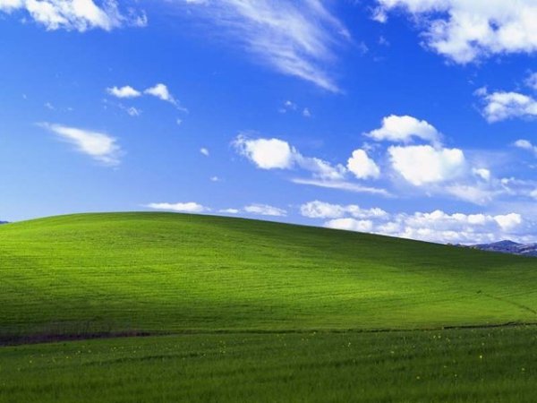 opu  : a Windows XP,  1996 .    1996 a ...