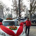 ���� ������, ������, 37 ��� - ��������� 26 ������ 2020 � ������ ���� ����������