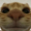 ���� ������, ������������, 56 ��� - ��������� 1 ��� 2020 � ������ ���� ����������