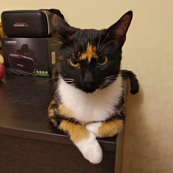  !?