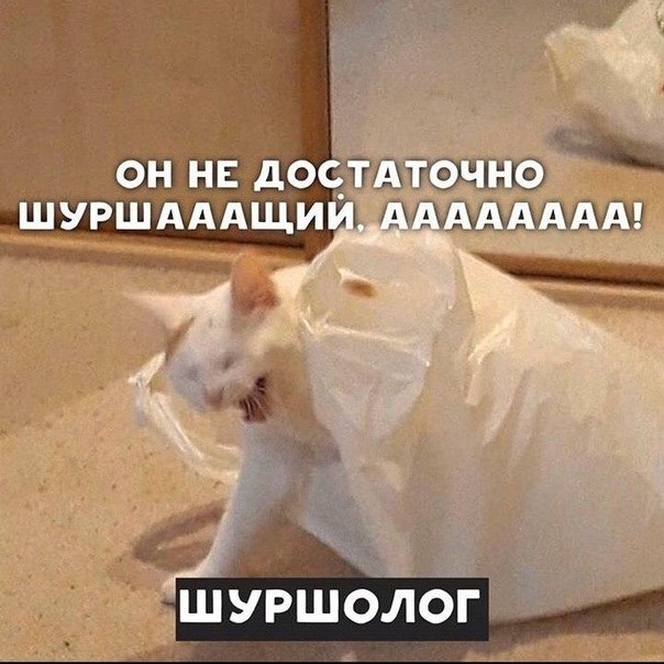         ?))