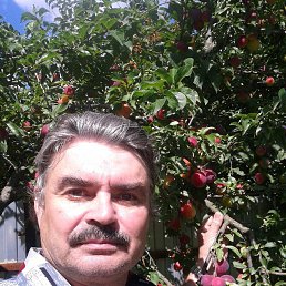 ���� ����, ������, 64 ���� - ��������� 14 ������� 2020