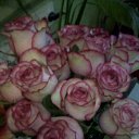 ���� ��������, ������, 48 ��� - ��������� 3 ���� 2020 � ������ ���� ����������