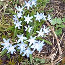 ���� �����, ������, 62 ���� - ��������� 21 ������ 2020 � ������ ������ ��������