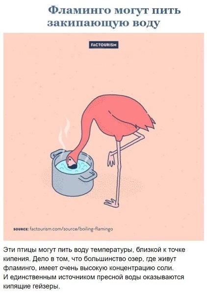 oopa eecx ao o ae pe - 9