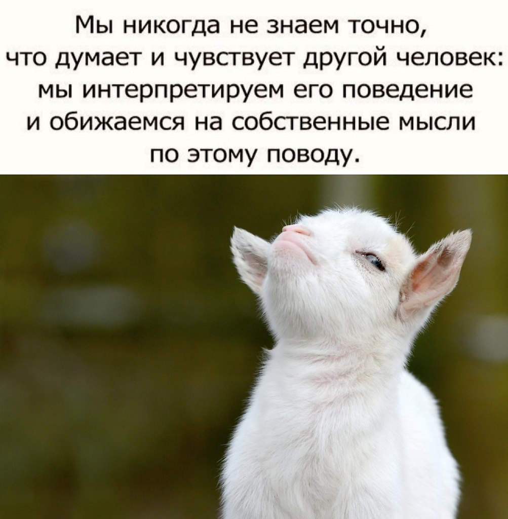   ,        .