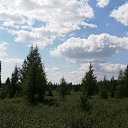 ���� Destroy, �����-���������, 42 ���� - ��������� 14 ����� 2020 � ������ ���� ����������