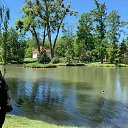 ���� ����������, �������, 74 ���� - ��������� 30 ���� 2020 � ������ ���� ����������