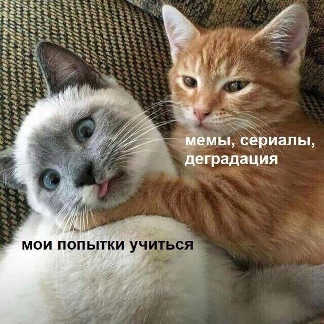 :  - 6