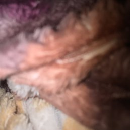 Roman, ��������, 32 ����