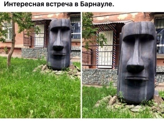 LIFE -  - 8  2020  19:06