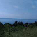 ,,  -,01.06.20. 11.35.    2020