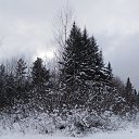 ���� ����, �����, 49 ��� - ��������� 1 ������� 2020 � ������ ���� ����������