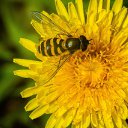  ,  -  2  2020     2020