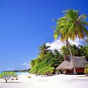 ���� �����, �������, 52 ���� - ��������� 15 ������ 2020 � ������ ���� ����������