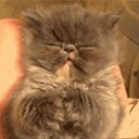 ���� ������, ������, 61 ��� - ��������� 23 ��� 2020 � ������ ���� ����������