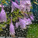 ���� Lara, ������� - ��������� 8 ������� 2020 � ������ �������