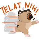 ���� ���������, ������-��-����, 53 ���� - ��������� 17 ��� 2020