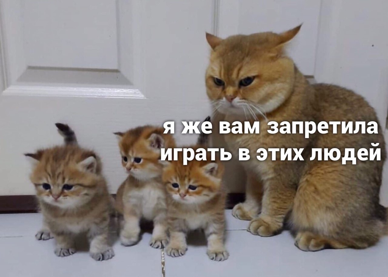  - 19  2020  18:49 - 3
