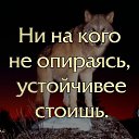 ���� �����, �����, 64 ���� - ��������� 11 ���� 2020 � ������ ������