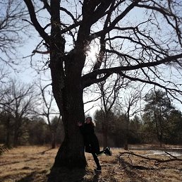 �����, �����-���������, 42 ����