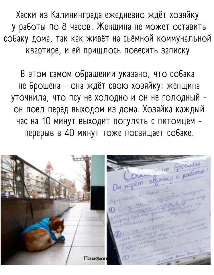        ...  ,  ,   ...