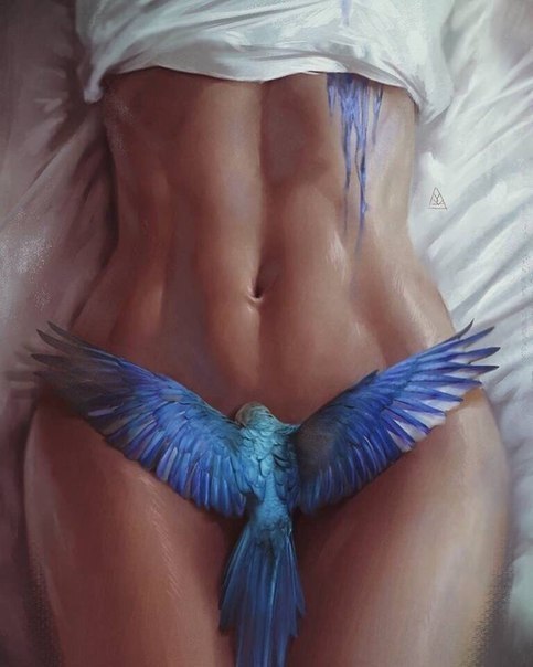 ,      Aykut Aydodu