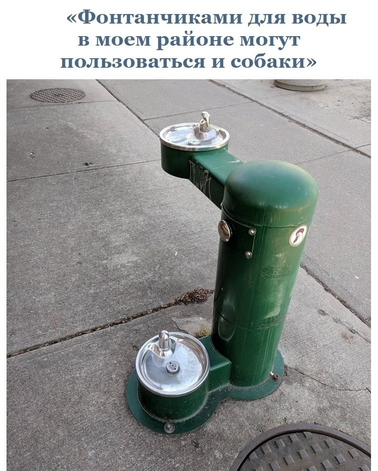 ,     . - 7
