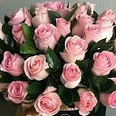 ���� Kermax2013, ����, 70 ��� - ��������� 9 ������ 2020 � ������ ���� ����������