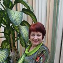 ���� �����, ������������ - ��������� 8 ����� 2020 � ������ ���� ����������