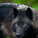 ���� ��������, ��������, 55 ��� - ��������� 26 ������ 2020 � ������ ������ ��������