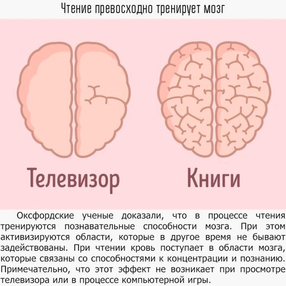    -    .   ,     ... - 3