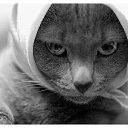 ���� Mat, ������ - ��������� 16 ������� 2020 � ������ ������ ��������